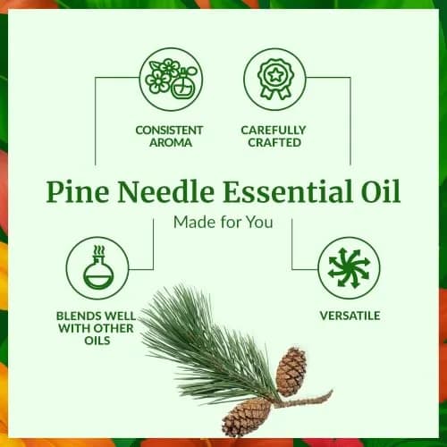SVA ORGANICS Pine Needle Essential Oil 118 ml (4 Fl Oz) | Natural Woody Aroma for Diffuser & DIY thumbnail 3