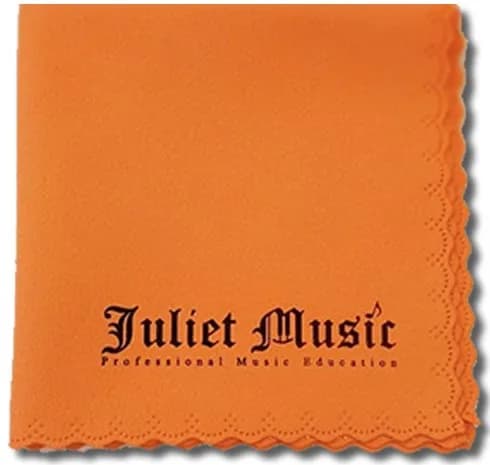 Hohner Special 20 Harmonica, 10 Holes Major C Bundle with Hard Case & Juliet Music Polishing Cloth | German Quality Craftsmanship thumbnail 5