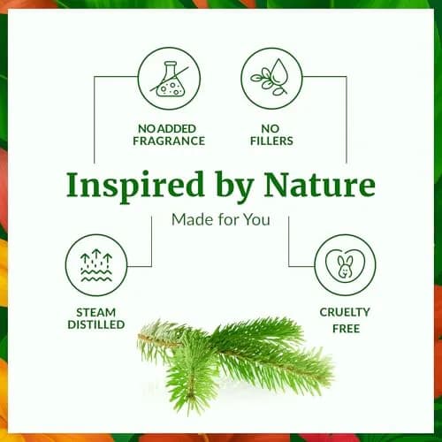 SVA ORGANICS Fir Needle Essential Oil, Pure & Natural, 4 Fl Oz (Pack of 1) thumbnail 3