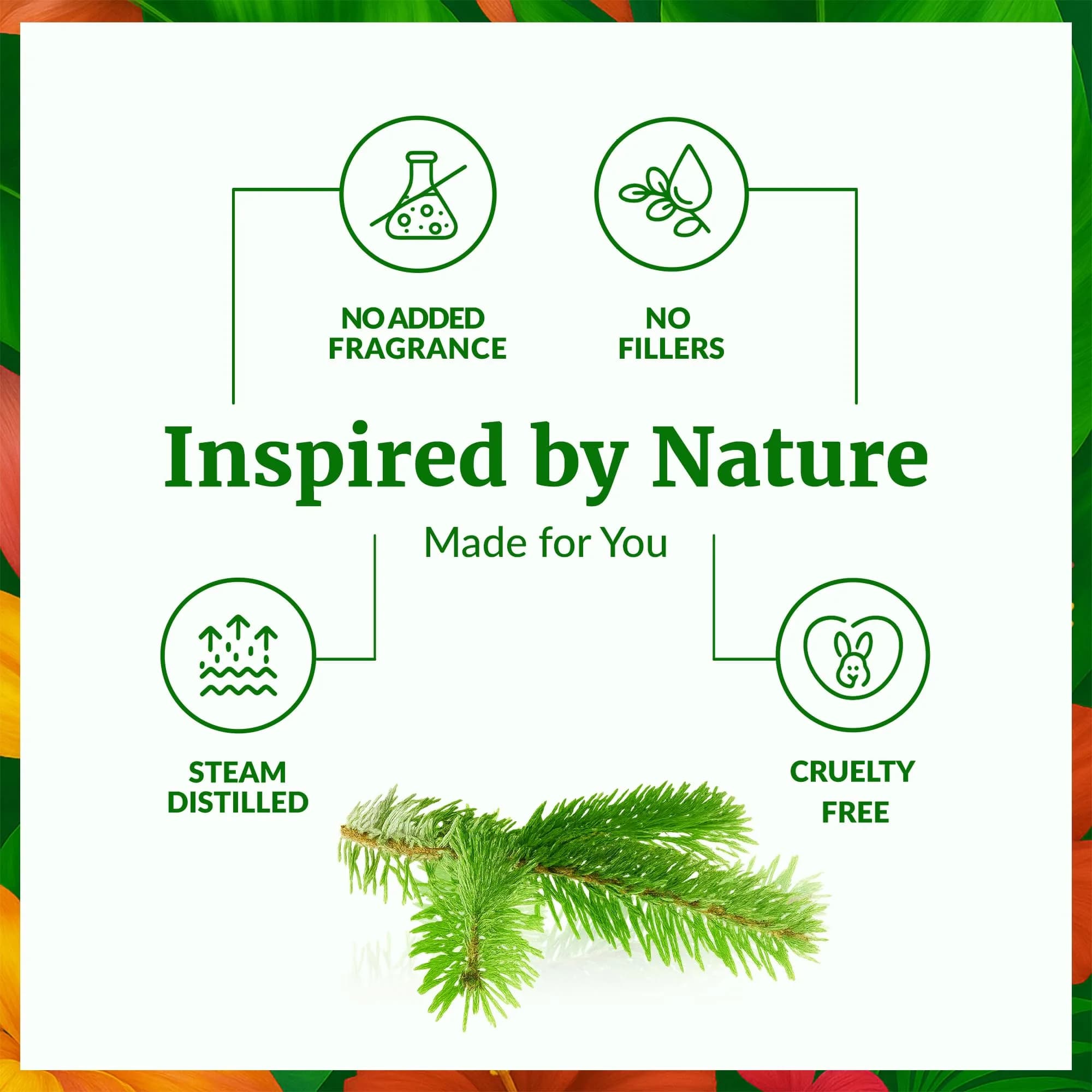 SVA ORGANICS Fir Needle Essential Oil, Pure & Natural, 4 Fl Oz (Pack of 1) - view 3