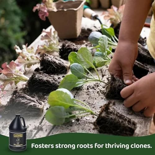 Clonex Clone Solution 20ml | Supports Root Development & Stress Minimize thumbnail 4