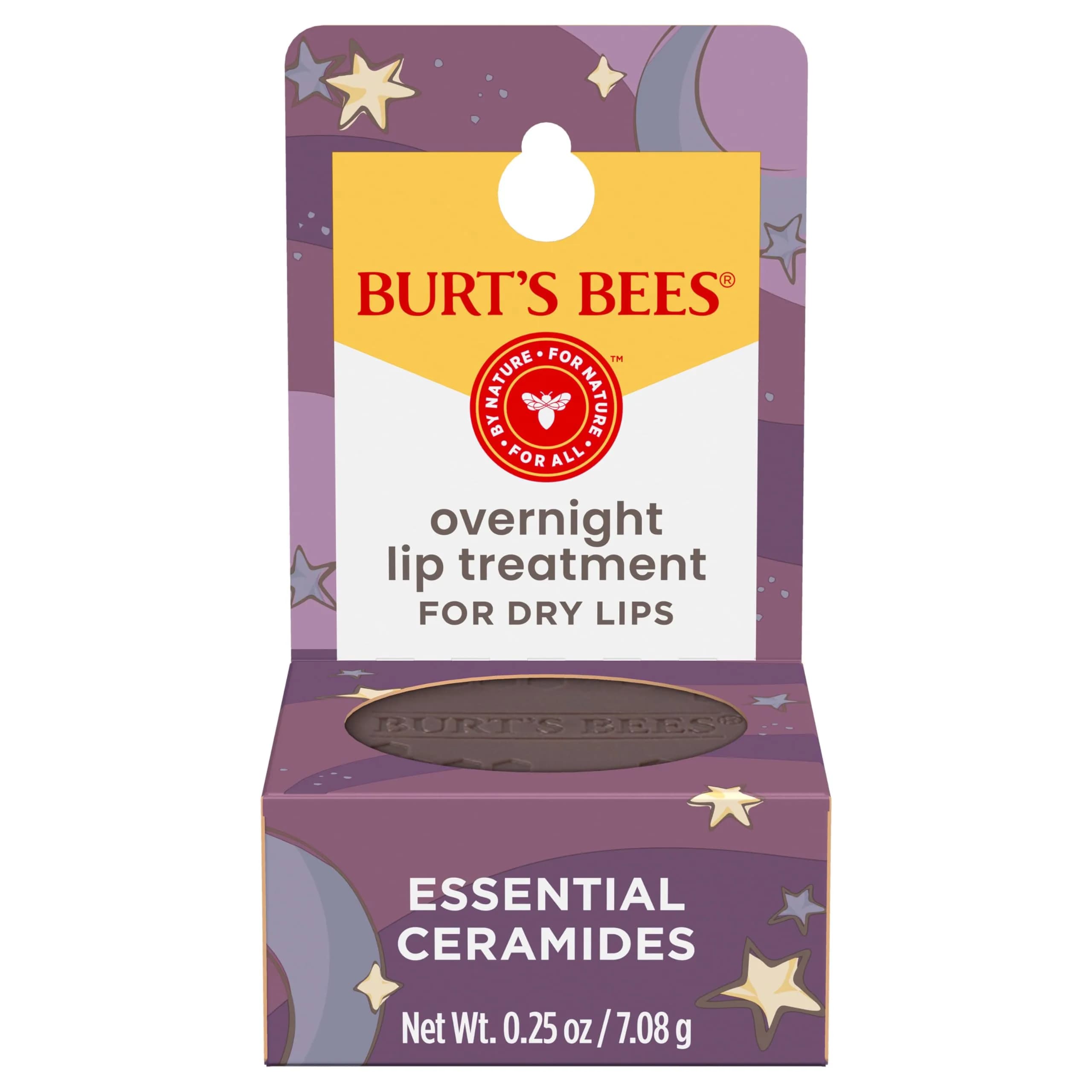 Burt's Bees Original Overnight Intensive Lip Treatment - 0.25 Ounce - main product image