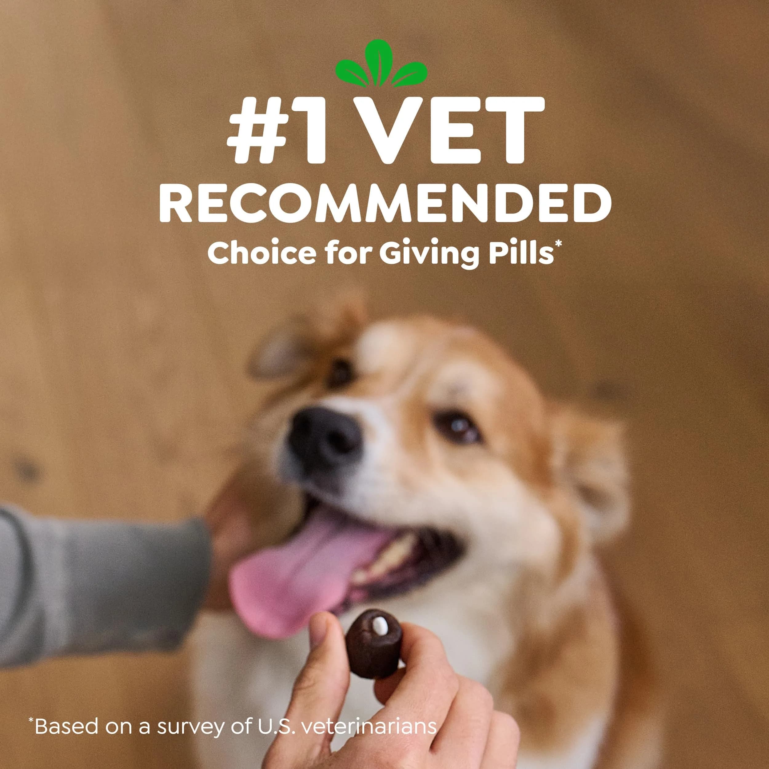 Greenies Pill Pockets Small Dog Treats, Cheese Flavor, 19.2 oz (544 g) | Vet-Recommended Pill Concealers for Small Dogs - view 6