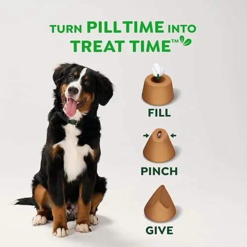 Greenies Pill Pockets Small Dog Treats, Cheese Flavor, 19.2 oz (544 g) | Vet-Recommended Pill Concealers for Small Dogs thumbnail 7