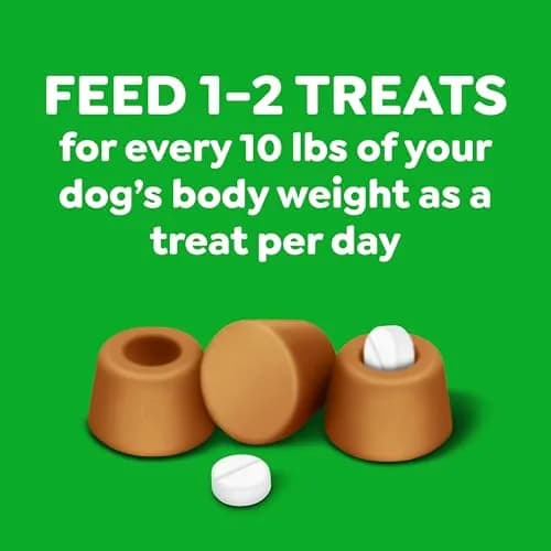 Greenies Pill Pockets Small Dog Treats, Cheese Flavor, 19.2 oz (544 g) | Vet-Recommended Pill Concealers for Small Dogs thumbnail 8