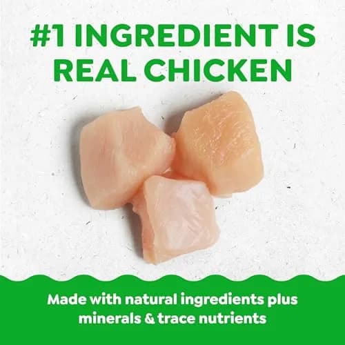 Greenies Pill Pockets Small Dog Treats, Cheese Flavor, 19.2 oz (544 g) | Vet-Recommended Pill Concealers for Small Dogs thumbnail 3