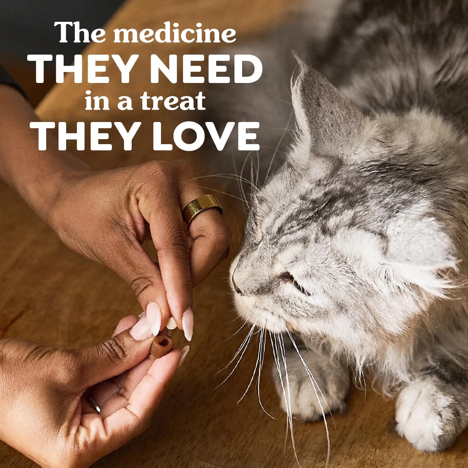 Greenies Feline Pill Pockets Salmon Flavor 85 Count | Vet-Recommended Cat Treats for Hiding Pills - view 7