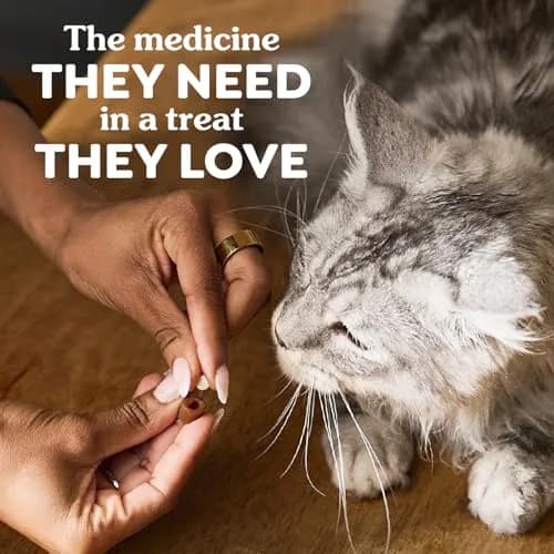 Greenies Feline Pill Pockets Salmon Flavor 85 Count | Vet-Recommended Cat Treats for Hiding Pills thumbnail 7