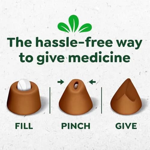 Greenies Feline Pill Pockets Salmon Flavor 85 Count | Vet-Recommended Cat Treats for Hiding Pills thumbnail 2