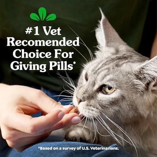 Greenies Feline Pill Pockets Salmon Flavor 85 Count | Vet-Recommended Cat Treats for Hiding Pills thumbnail 3