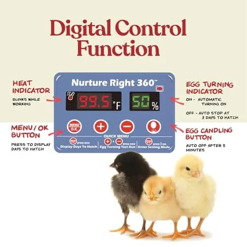 Harris Farms Nurture Right 360 Egg Incubator with Auto Turner, Holds 22 Eggs | Automatic Temperature & Humidity Control thumbnail 3