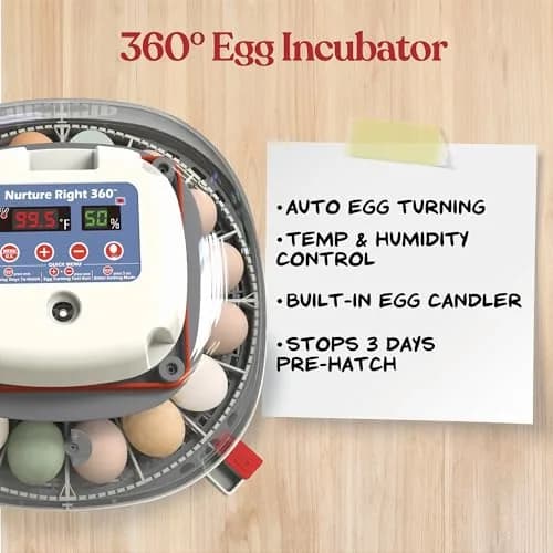 Harris Farms Nurture Right 360 Egg Incubator with Auto Turner, Holds 22 Eggs | Automatic Temperature & Humidity Control thumbnail 4