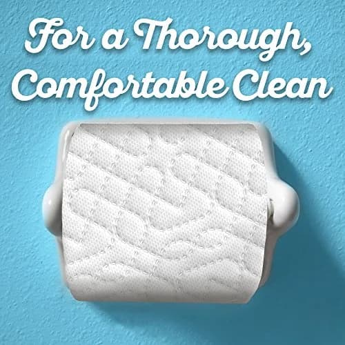 Quilted Northern Ultra Soft & Strong Toilet Paper, 12 Double Rolls (1968 Sheets Total) | Biodegradable & Septic Safe thumbnail 2