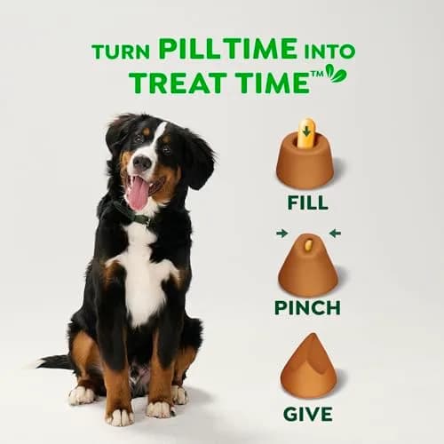 Greenies Pill Pockets Large Size Dog Treats, Cheese Flavor, 30 Count (7.9 oz) | Vet-Recommended Pill Hiding Treat thumbnail 7