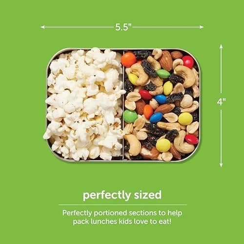 LunchBots Small Stainless Steel Kids Bento Box 4-Section 16oz | Compact, Durable & Safe for Kids thumbnail 4