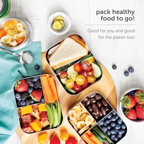 LunchBots Small Stainless Steel Kids Bento Box 4-Section 16oz | Compact, Durable & Safe for Kids thumbnail 7
