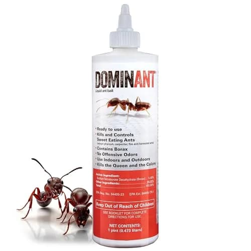 Nisus Dominant Liquid Ant Bait Borax-Based Eliminator 16 oz | Fast-Acting Household Ant Control thumbnail 1