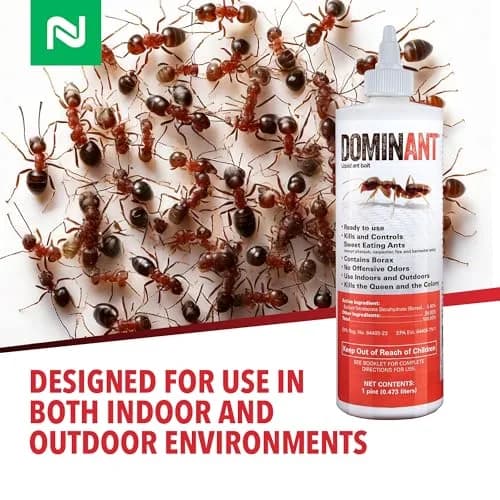 Nisus Dominant Liquid Ant Bait Borax-Based Eliminator 16 oz | Fast-Acting Household Ant Control thumbnail 7