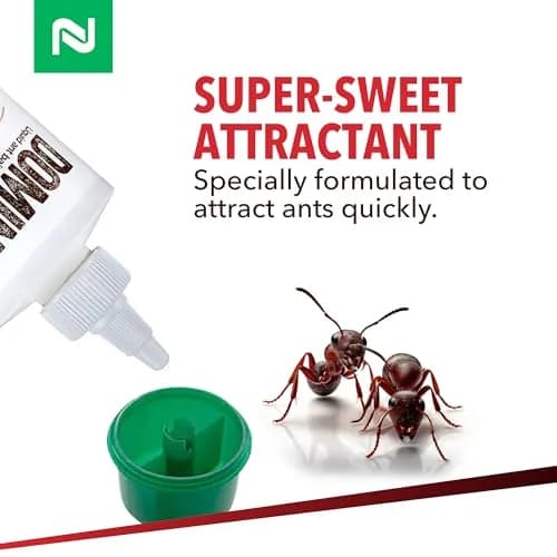 Nisus Dominant Liquid Ant Bait Borax-Based Eliminator 16 oz | Fast-Acting Household Ant Control thumbnail 2