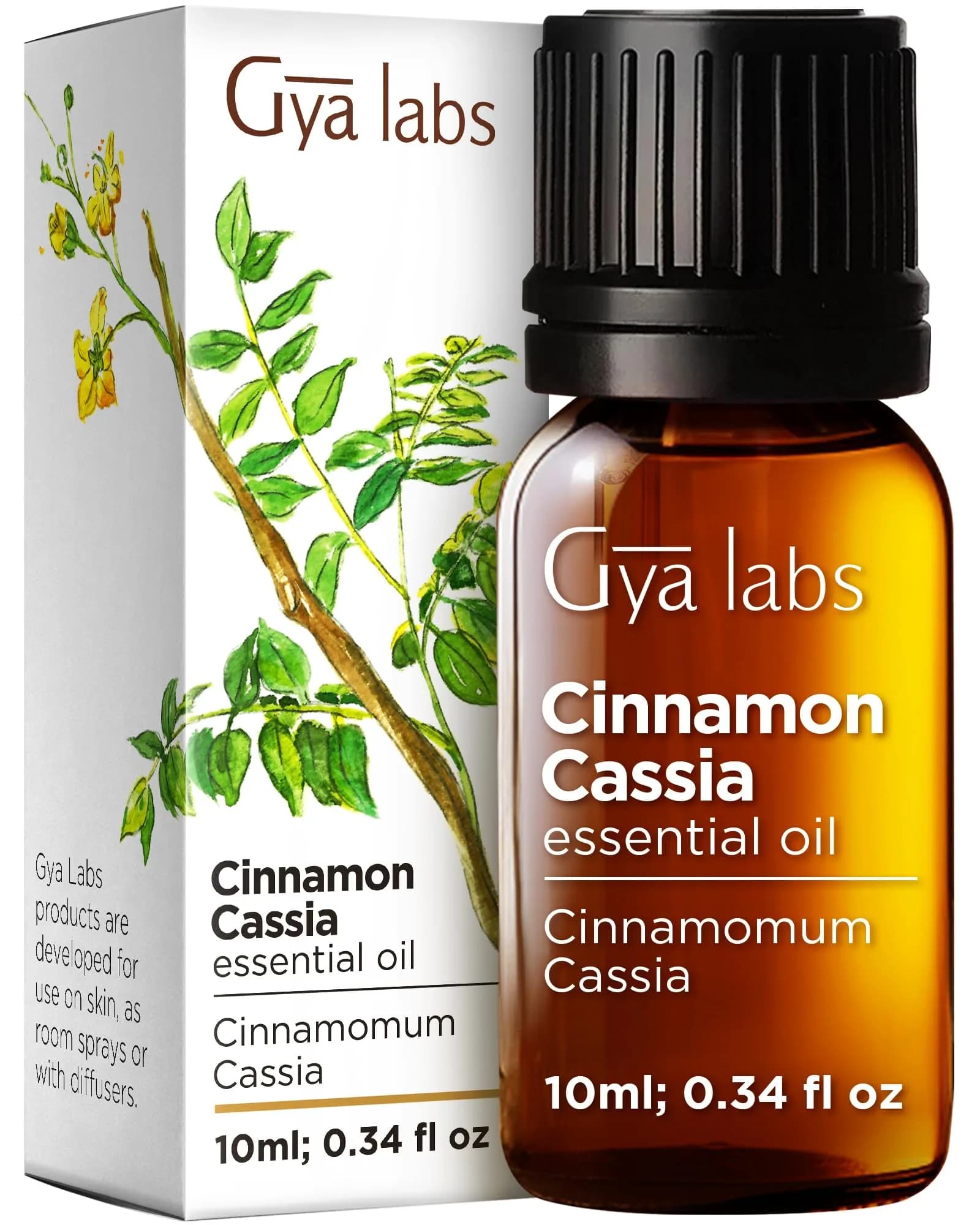 Gya Labs Cinnamon Cassia Essential Oil for Hair, Skin, Diffuser, Candle Making, 10ml - main product image