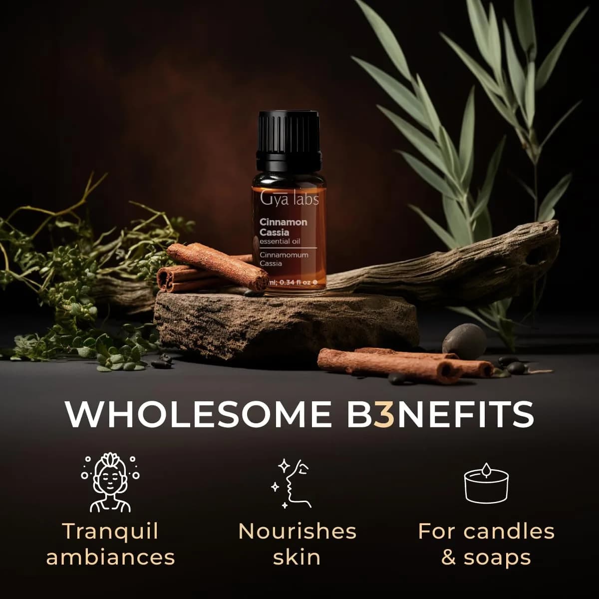 Gya Labs Cinnamon Cassia Essential Oil for Hair, Skin, Diffuser, Candle Making, 10ml - view 5
