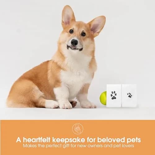 Pearhead Paw Print Clean Touch Ink Pad Kit for Dogs and Cats, Black Ink, 1 Pad & 2 Cards | Mess-Free Pet Keepsake thumbnail 5