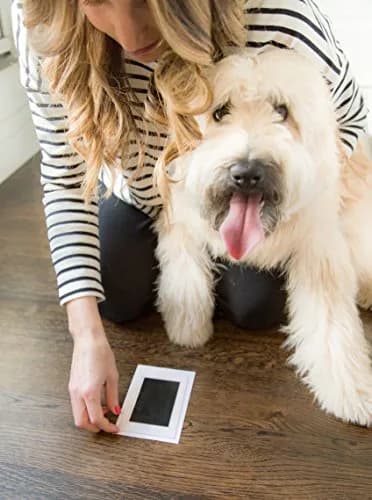 Pearhead Paw Print Clean Touch Ink Pad Kit for Dogs and Cats, Black Ink, 1 Pad & 2 Cards | Mess-Free Pet Keepsake thumbnail 7