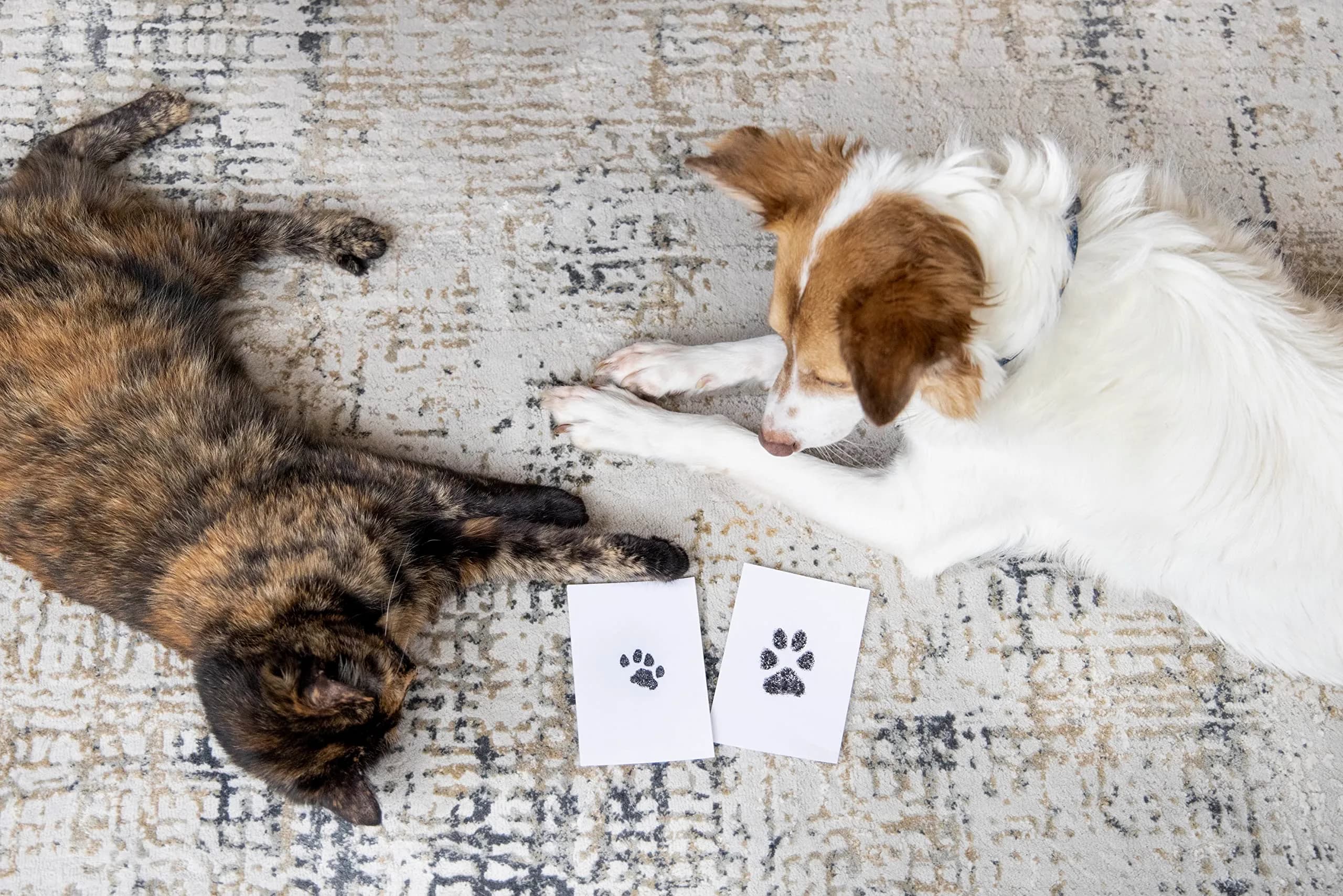 Pearhead Paw Print Clean Touch Ink Pad Kit for Dogs and Cats, Black Ink, 1 Pad & 2 Cards | Mess-Free Pet Keepsake - view 8