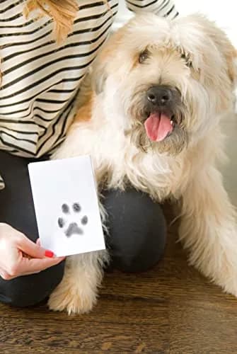 Pearhead Paw Print Clean Touch Ink Pad Kit for Dogs and Cats, Black Ink, 1 Pad & 2 Cards | Mess-Free Pet Keepsake thumbnail 9