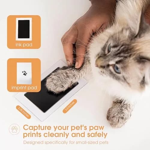 Pearhead Paw Print Clean Touch Ink Pad Kit for Dogs and Cats, Black Ink, 1 Pad & 2 Cards | Mess-Free Pet Keepsake thumbnail 2