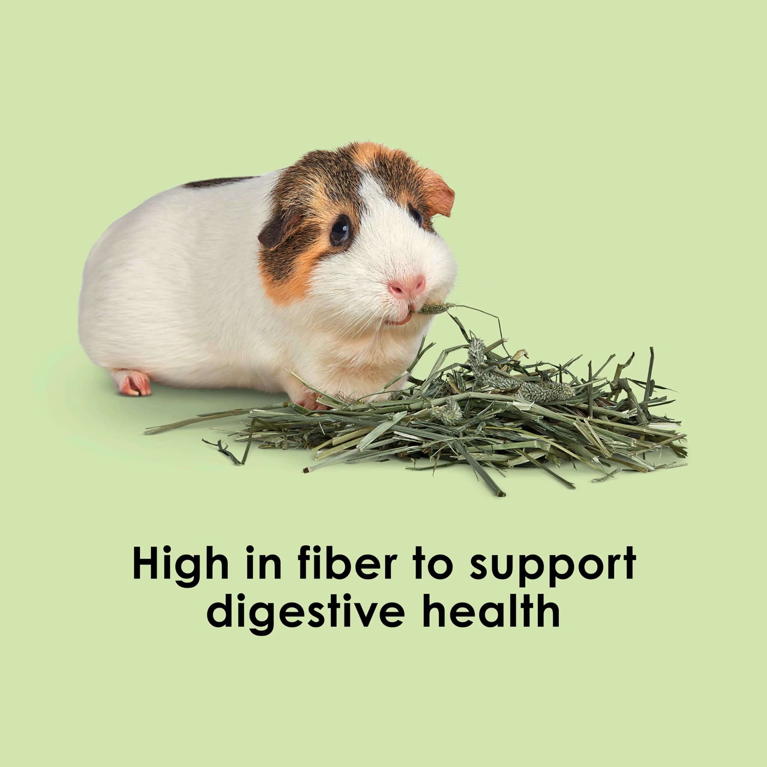 Kaytee Timothy Hay for Small Animals, 12 lb (5.44 kg) | Supports Digestive Health - view 4