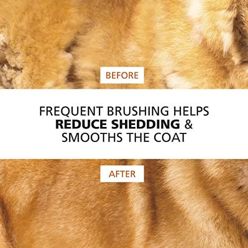 Wahl Premium Patented Dual Level Sensitive Skin Pet Slicker Brush | Large Dual Pins for All Coats thumbnail 7