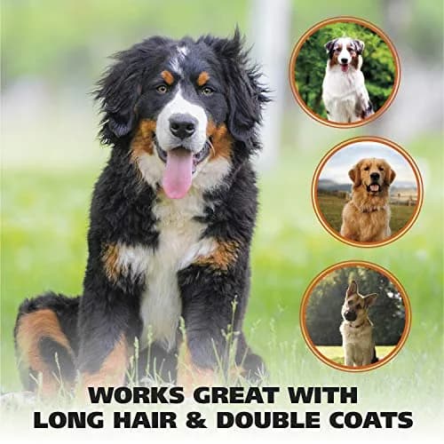 Wahl Premium Patented Dual Level Sensitive Skin Pet Slicker Brush | Large Dual Pins for All Coats thumbnail 8
