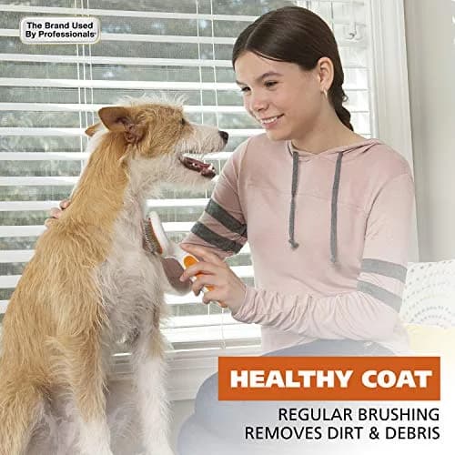 Wahl Premium Patented Dual Level Sensitive Skin Pet Slicker Brush | Large Dual Pins for All Coats thumbnail 2