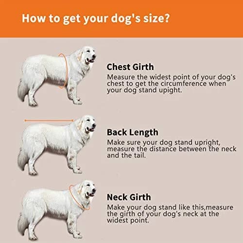 SNIK-S Dog Life Jacket with Reflective Stripes & Adjustable Belt for Short Nose Dogs (X-Small, Pink) thumbnail 6