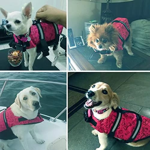 SNIK-S Dog Life Jacket Preserver with Reflective Stripes & Adjustable Belt | Water Safety Gear for Short Nose Dogs thumbnail 2