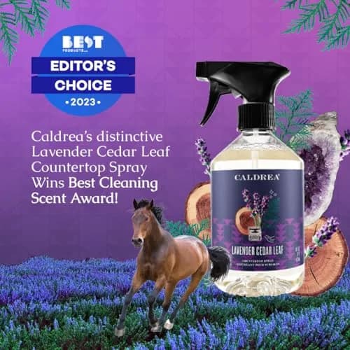 Caldrea Multi-surface CounterTop Spray Cleaner Lavender Cedar Leaf 473ml (16 Fl Oz) | Vegetable Protein Extract Odor Remover thumbnail 5