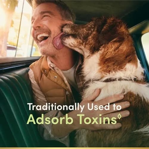 Nature's Bounty Activated Charcoal 260 mg | Detox & Toxin Adsorption Support (120 chars) thumbnail 2