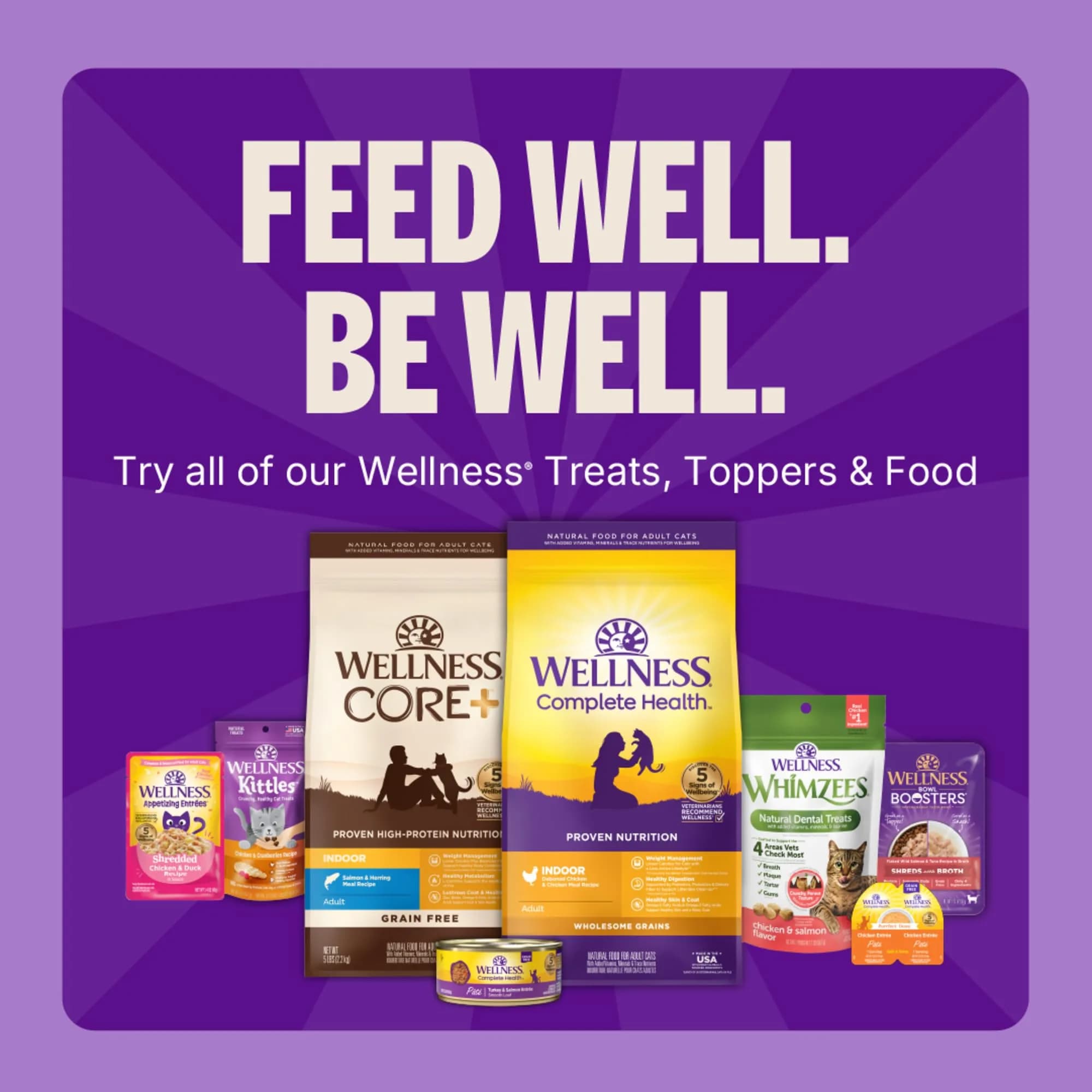 Wellness Kittles Crunchy Cat Treats Salmon & Cranberries Flavor 170g (6 oz) | Grain-Free Dental Snack - view 8