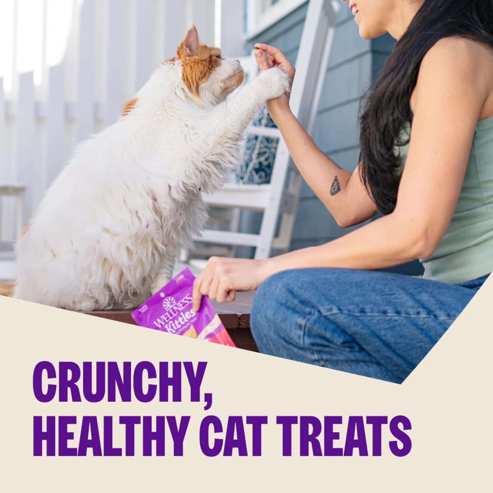 Wellness Kittles Crunchy Cat Treats, Salmon & Cranberry Flavor, 6 oz Bag | Grain-Free Dental Care - view 2