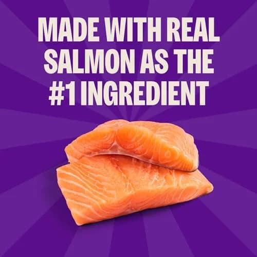 Wellness Kittles Crunchy Cat Treats Salmon & Cranberries Flavor 170g (6 oz) | Grain-Free Dental Snack thumbnail 3