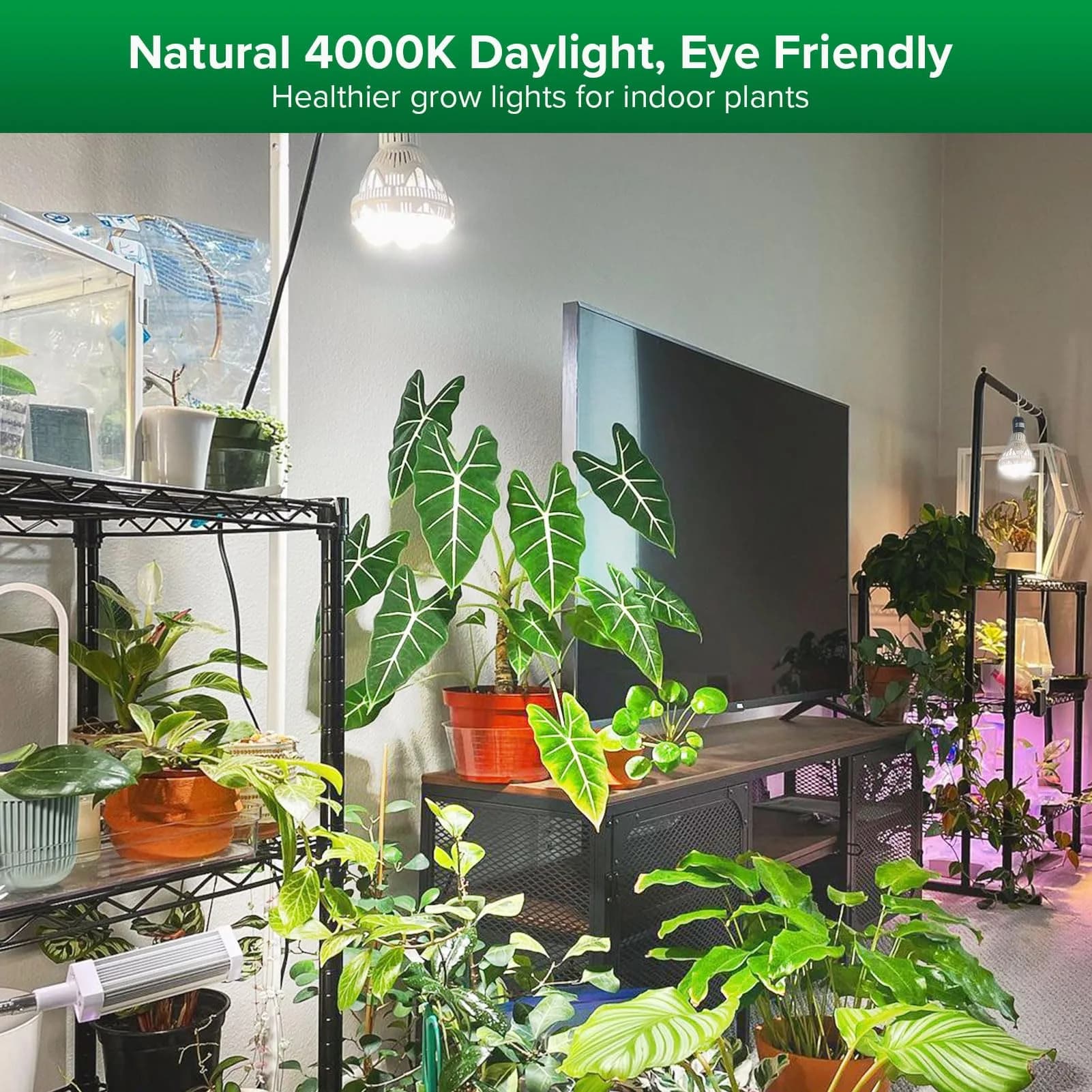 SANSI 36W BR30 Grow Light Bulb 4000K Daylight Full Spectrum | 16.5 cm (6.5 in) Height, 12.9 cm (5.16 in) Diameter - view 2