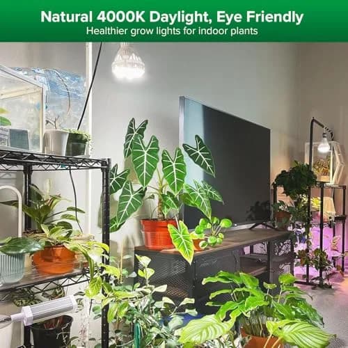 SANSI 36W BR30 Grow Light Bulb 4000K Daylight Full Spectrum | 16.5 cm (6.5 in) Height, 12.9 cm (5.16 in) Diameter thumbnail 2