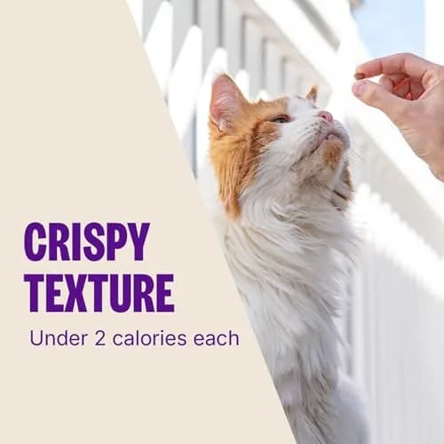 Wellness Kittles Crunchy Cat Treats Tuna & Cranberry Flavor 6 oz (170 g) | Grain-Free Dental Care for All Lifestages thumbnail 7