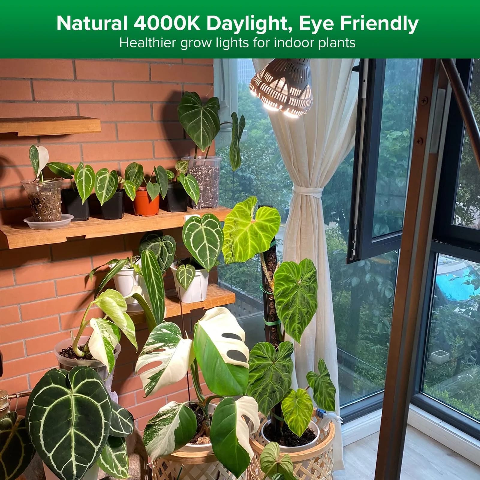 SANSI 24W Full Spectrum Grow Light Bulb 4000K Daylight | 300W Equivalent BR30 LED Plant Light - view 2