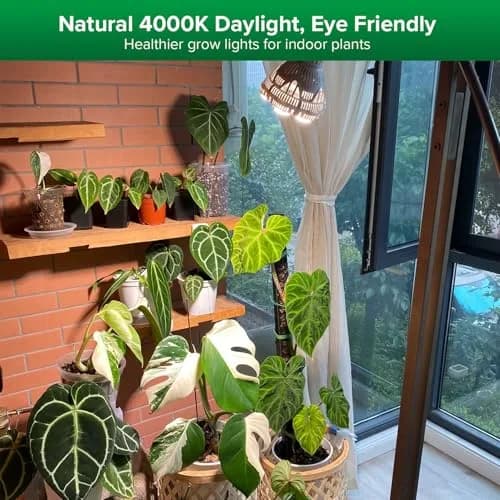 SANSI 24W Full Spectrum Grow Light Bulb 4000K Daylight | 300W Equivalent BR30 LED Plant Light thumbnail 2