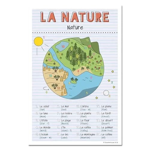 Quarterhouse French Verbs & Vocabulary Posters Set E | Classroom Decor for French Learning (70-120 chars) thumbnail 6