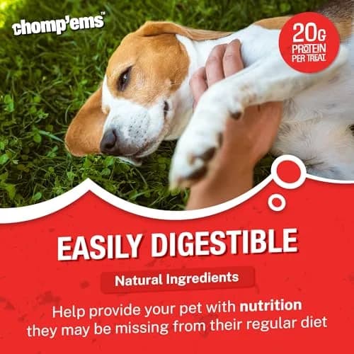 CHOMP 'EMS Purehide Sticks 4 oz | Natural Beefhide Dog Chews, Long-Lasting & Digestible thumbnail 3