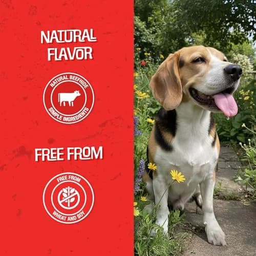 CHOMP 'EMS Ruffin' It 21000 Purehide Bars Dog Chew 6.35 oz | Long-Lasting, Digestible, Dental Support thumbnail 5
