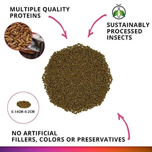 Fluval Bug Bites Color Enhancing Fish Food for Tropical Fish, 1.6 oz | Insect-Based Nutrition for Vibrant Fish thumbnail 2